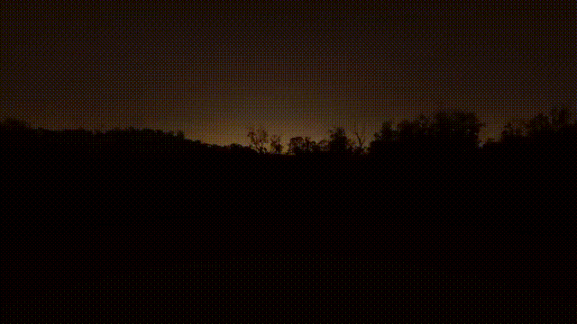 澳洲紅肉產品產出環節