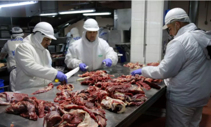 巴西牛肉批發(fā)價格下跌